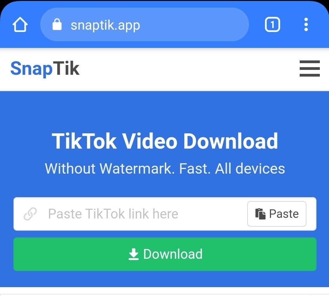 Download Video TikTok Tanpa Watermark Gratis - Snaptik App